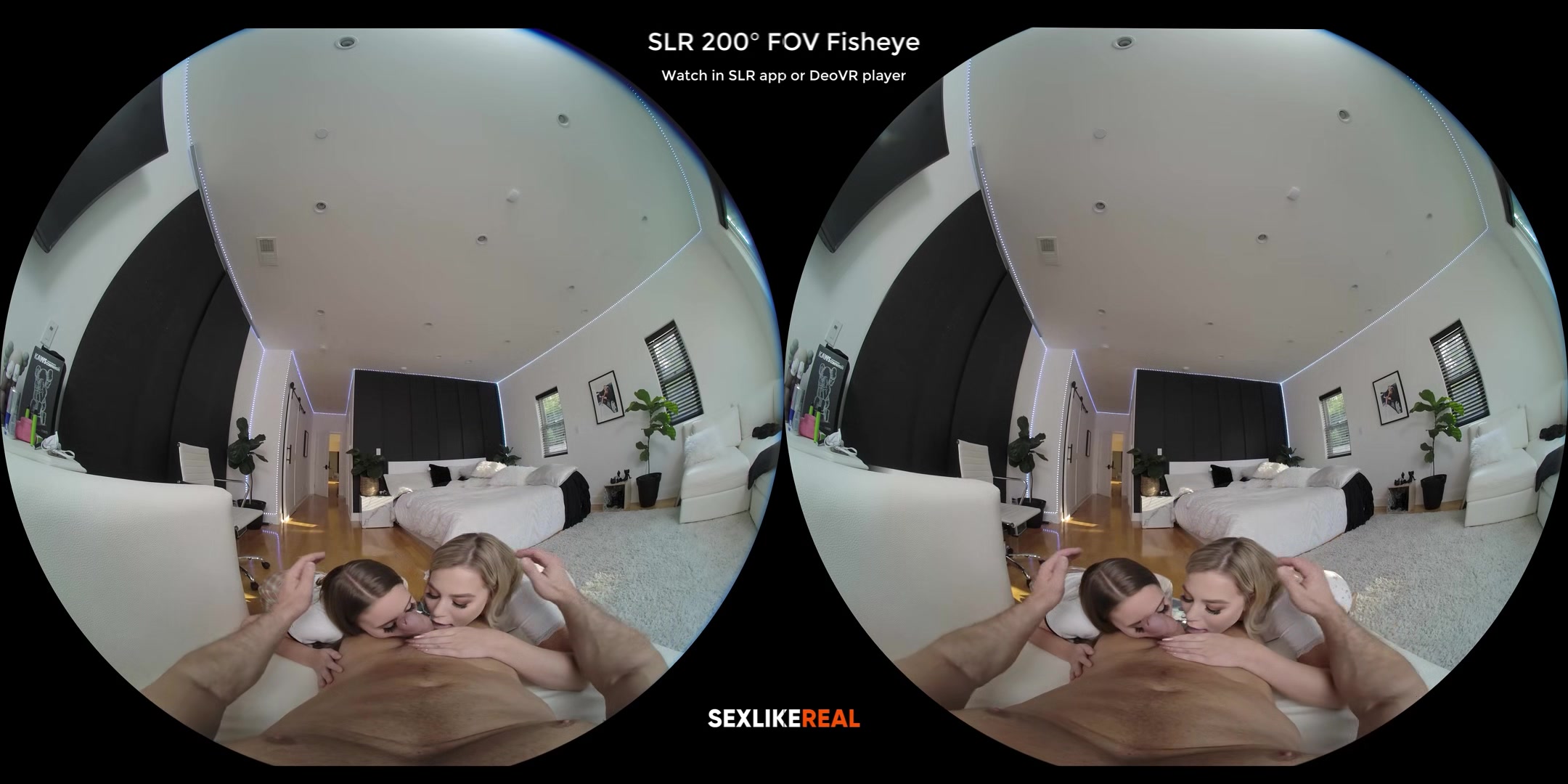 Amazing Blowjob - Duo & Trio Edition - Compilation