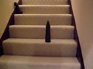 Best homemade shemale scene with Stockings, Solo scenes