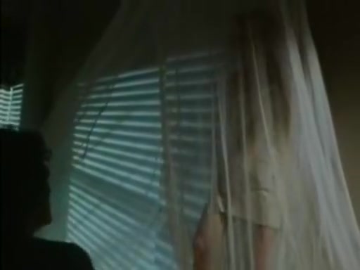 Vanessa del Rio, Dominique Saint Claire, Kevin James in classic sex video