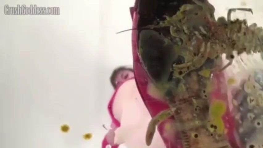 Marina flats underglass crawdad crush