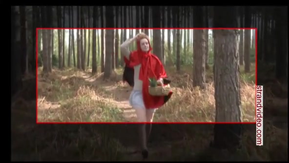 Little Red Riding Hood