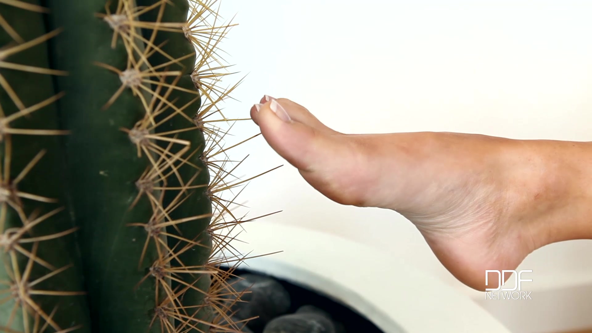 Spick And Span: Blonde Makes Her Pussy Gape With High Heels - PornWorld