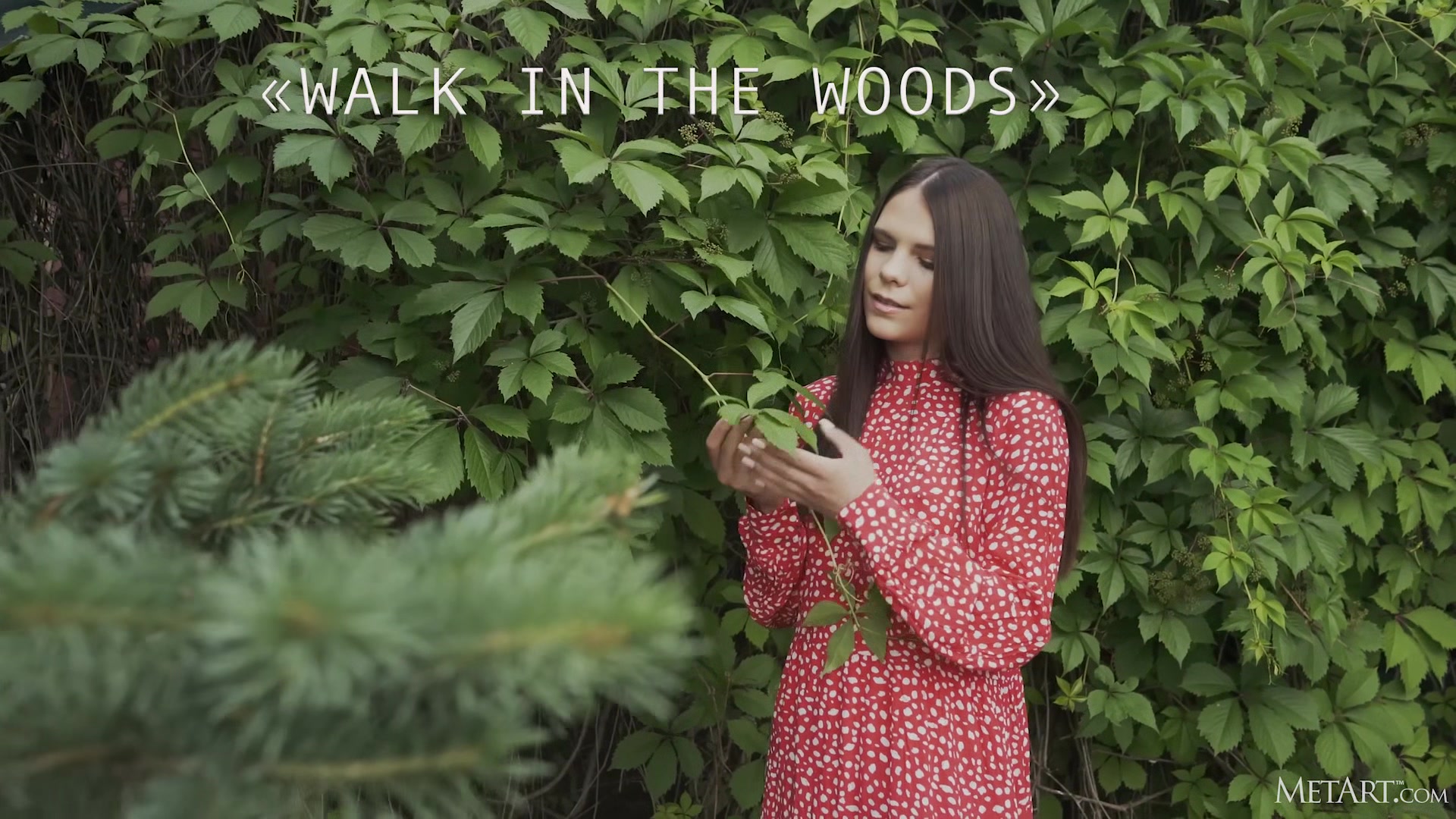 Walk In The Woods - Elena Max