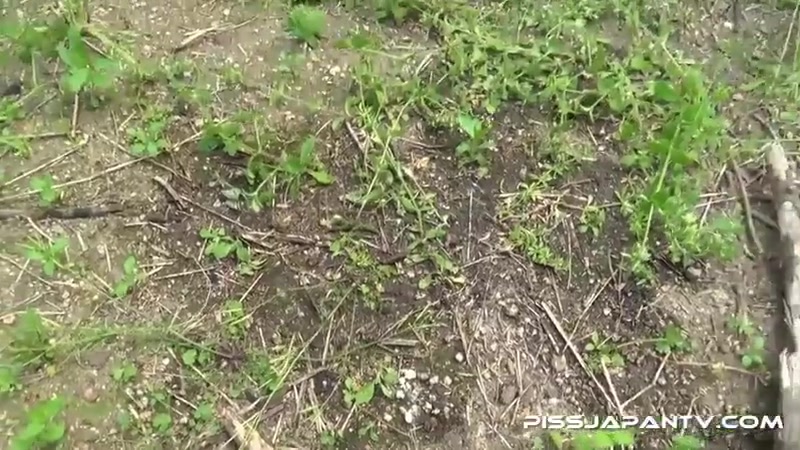 Piddle Here, Puddle There 3 - PissJapanTV