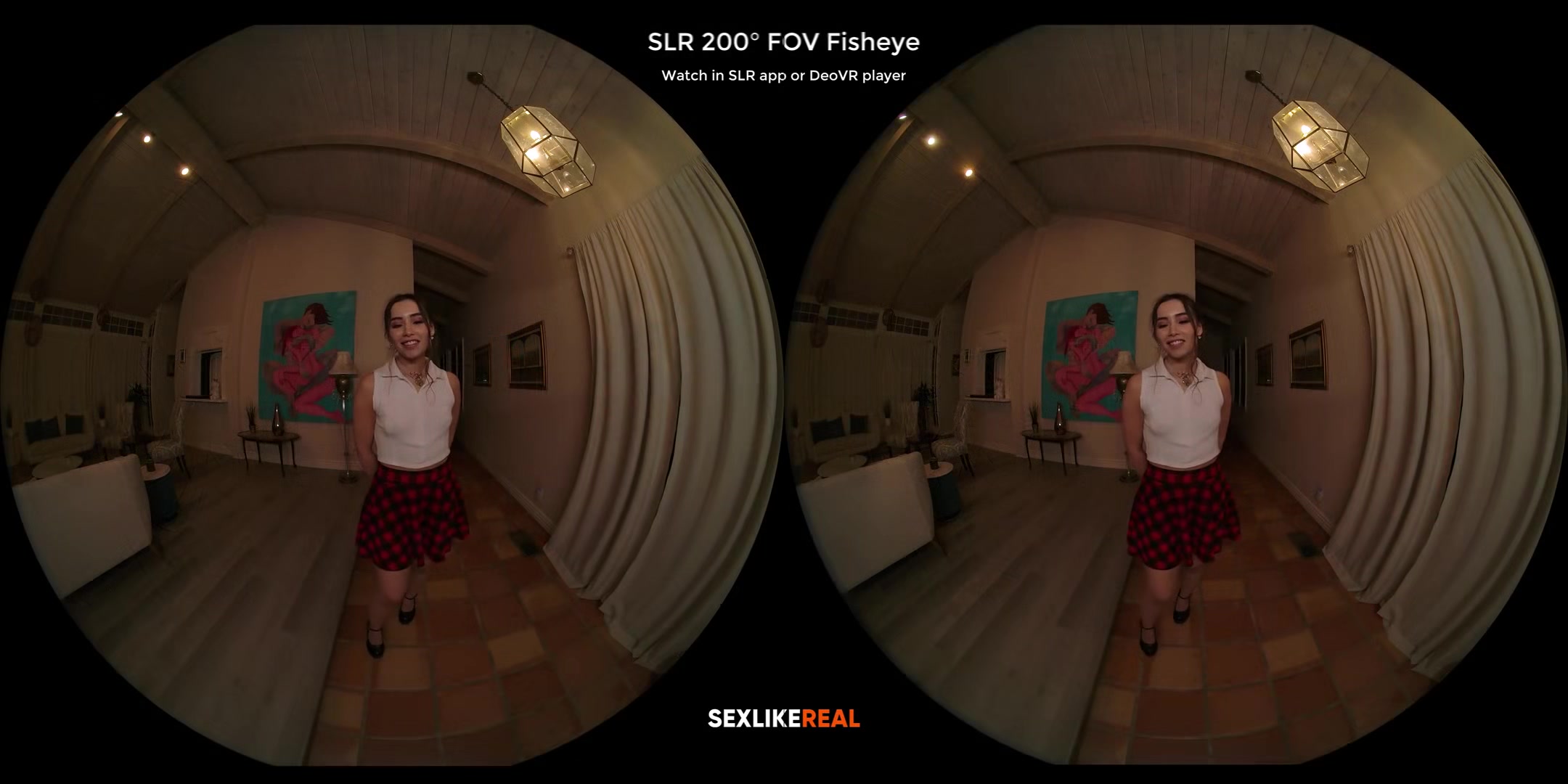 As Seen on TV!; Ultra High Definition VR Porn with Aria Lee SLR Original
