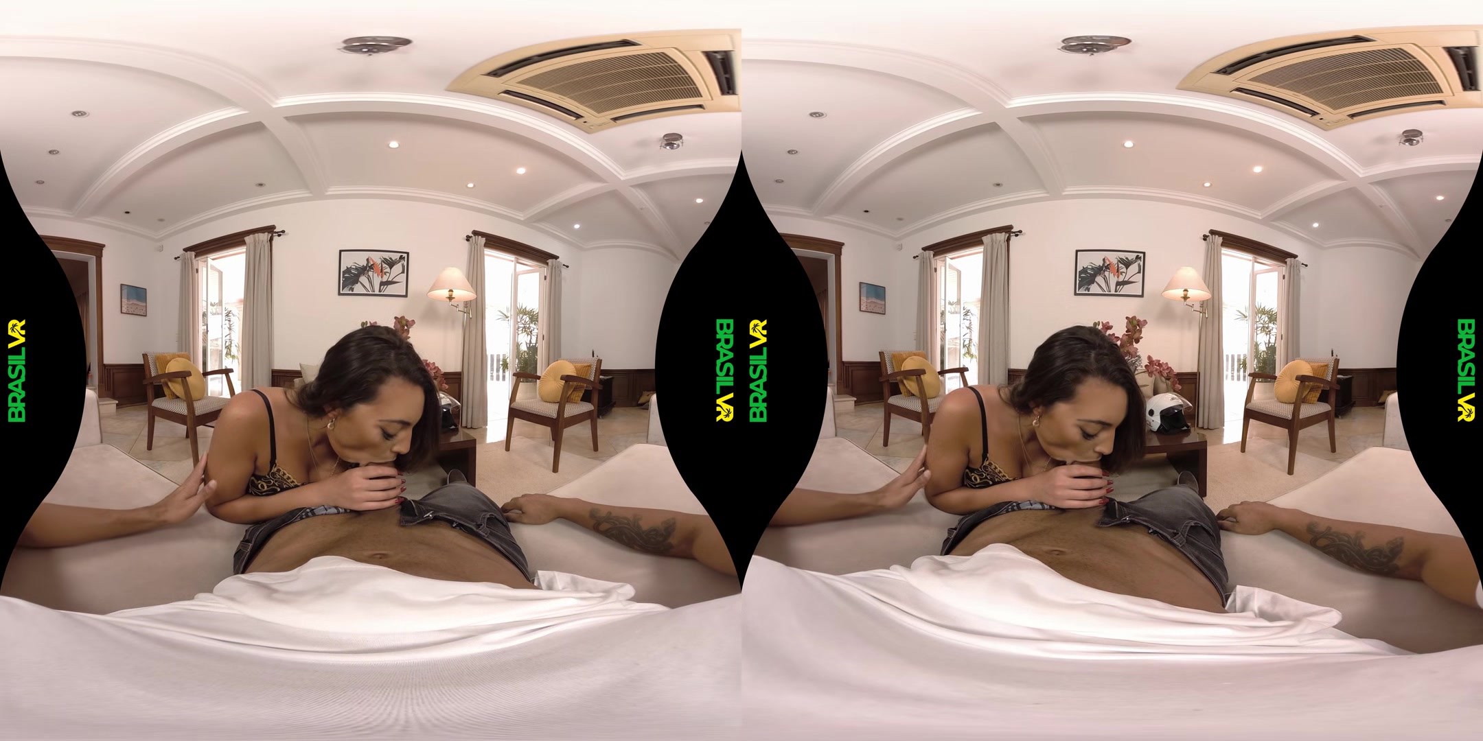 It's Not Delivery, It's Da' Porno! - BrasilVR