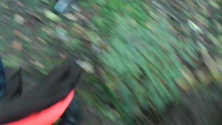 sex adventure in Hungary