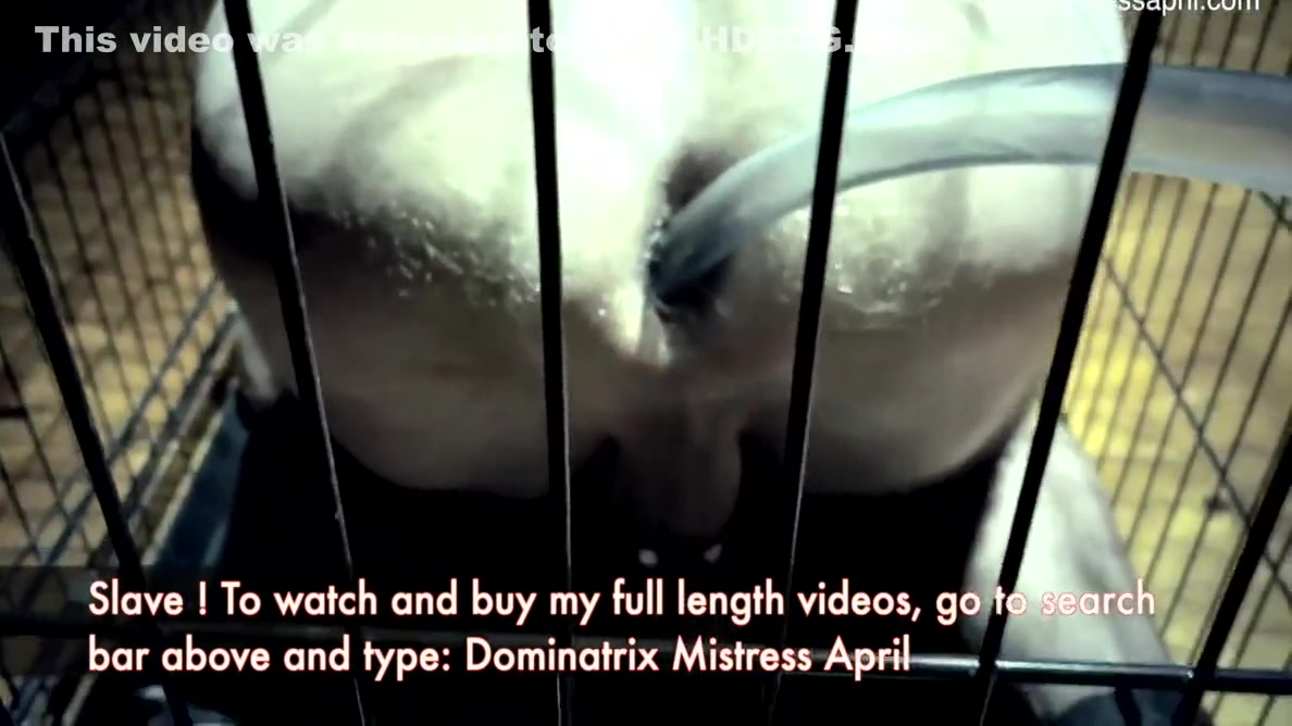 Dominatrix Slave Toilet - Mistress April