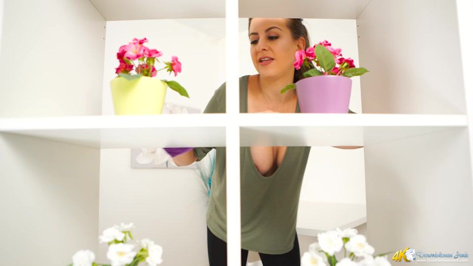 Top Shelf Titties - DownblouseJerk