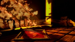 The Witcher - Triss' Unspoken Desire - A Forbidden Affair - TRAILER