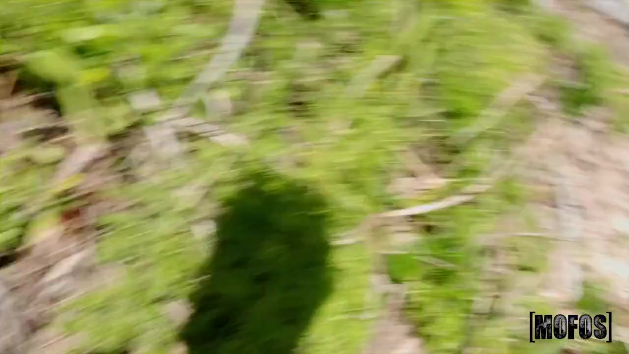 Scarlet Chase And Scarlet S - Chasing Beach Bum