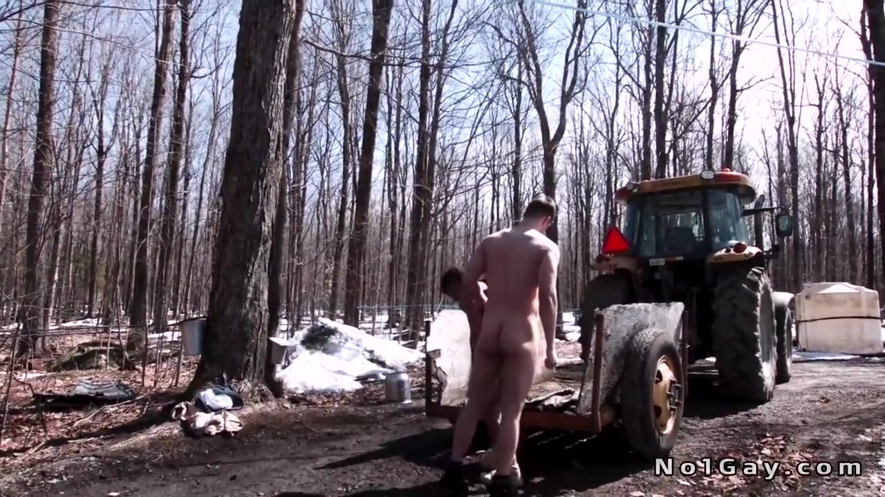 Syrup Makers And Co Workers Anal Fuck In The Woods