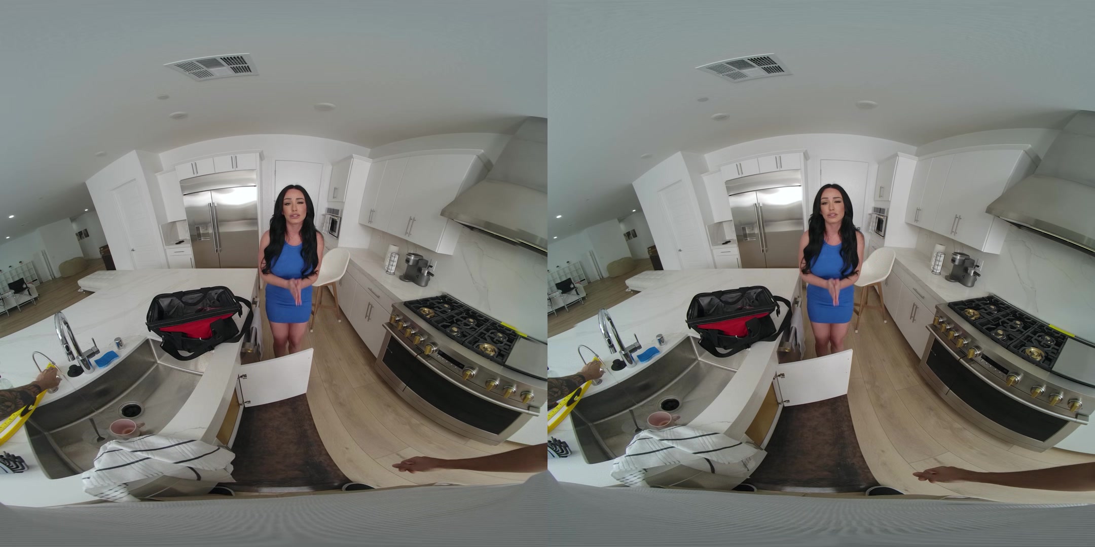 Plumber for Housewife 2