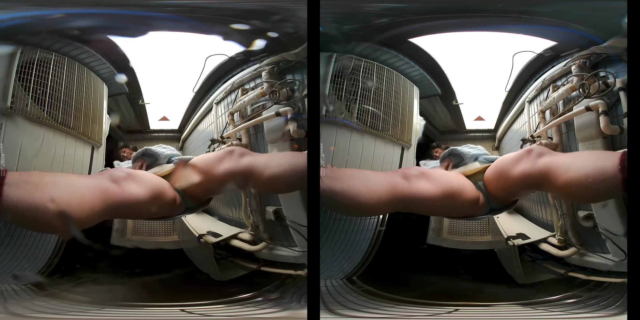 Can't Hold it Any Longer: Outdoor *ssing - SodCreate