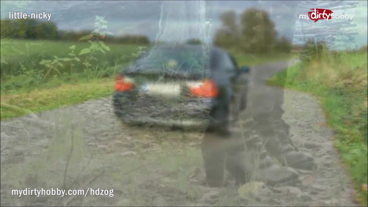 MyDirtyHobby - Driver gets an unexpected surprise from a HitchHiker