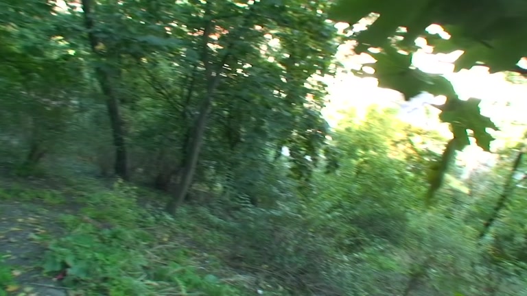 Outdoor sex scene with a blonde