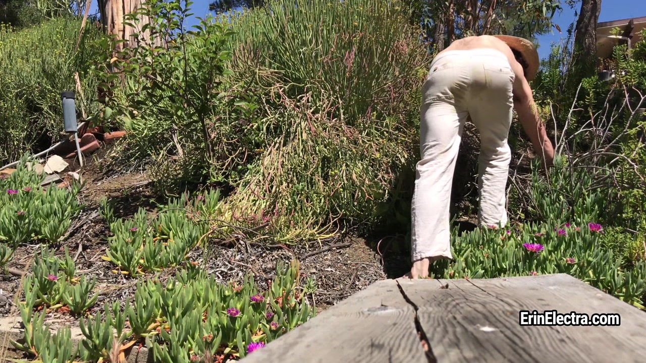 Erin Electra - Teenage D0ughter Fucks The Gardener