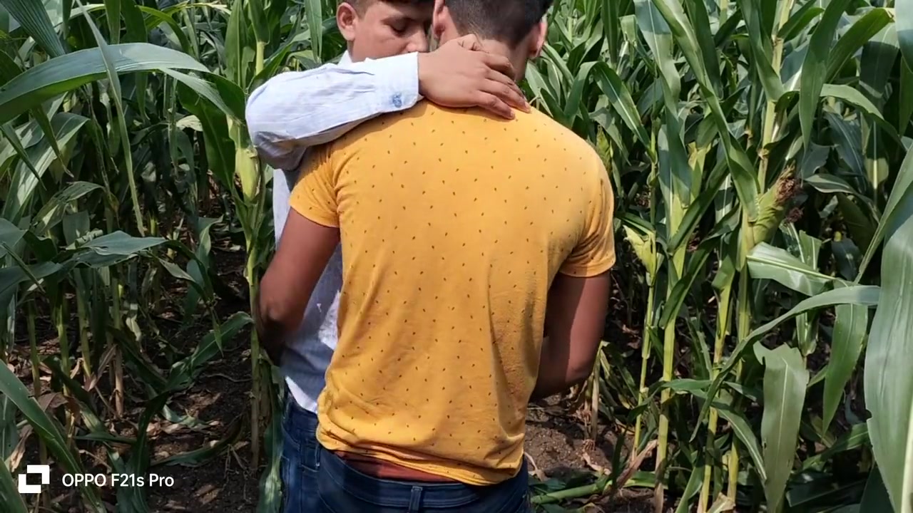 Indian Gay - Today Collage Boy & College Teacher I Saw A Corn Field Side Of The Forest So I Enjoyed Going To The Corn Field