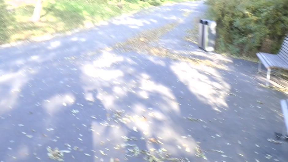 Busty bimbo gets her ass fucked in a public park