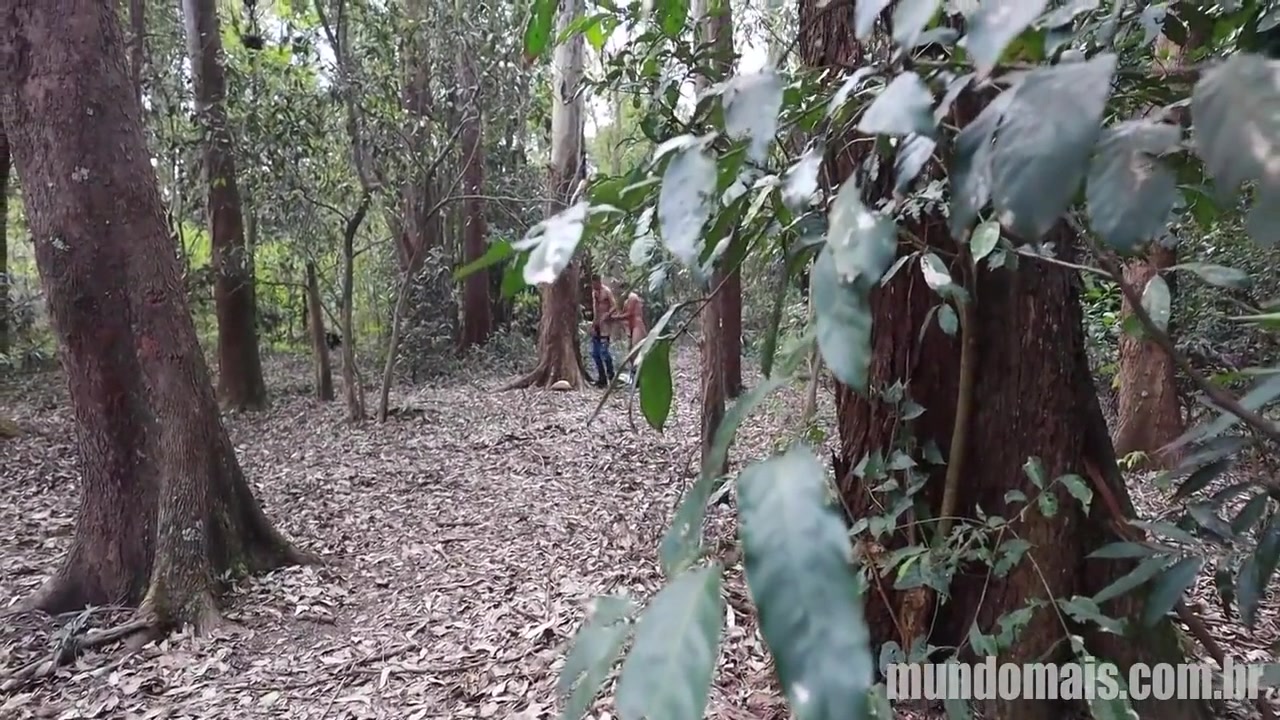 Homens Da Roca Larga O Trabalho Na Lavoura Pra Transar No Meio Do Mato 4 Min