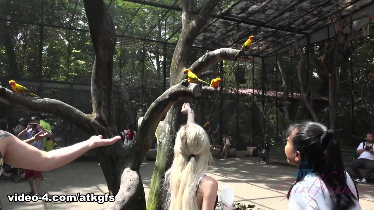 Piper Perri in Piper feeds lots of animals at Safari World - ATKGirlfriends