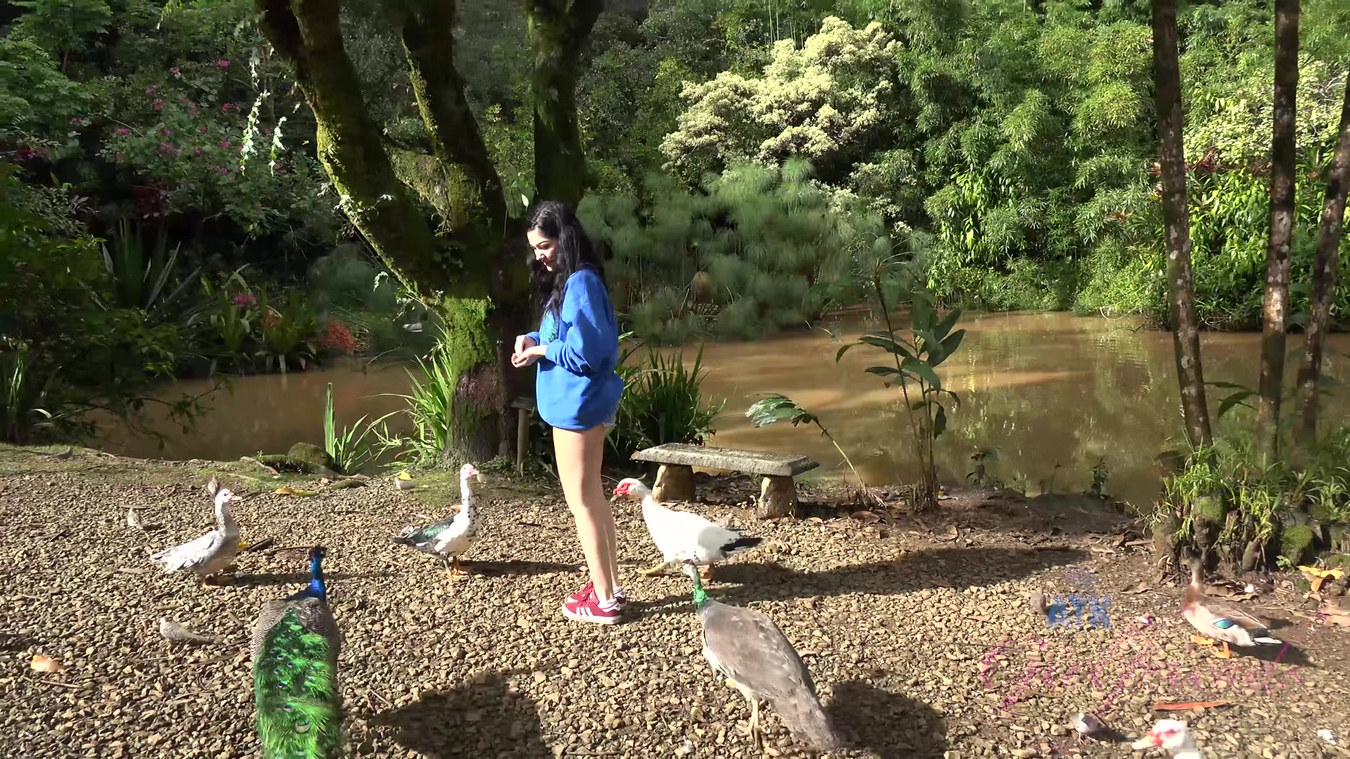 Virtual Vacation In Hawaii With Karly Baker Part 5