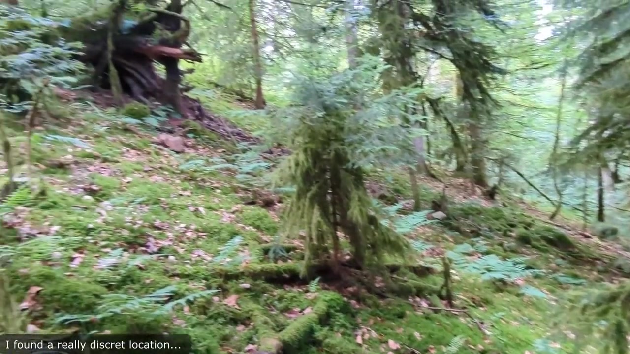 Flash And Masturbation In Forest