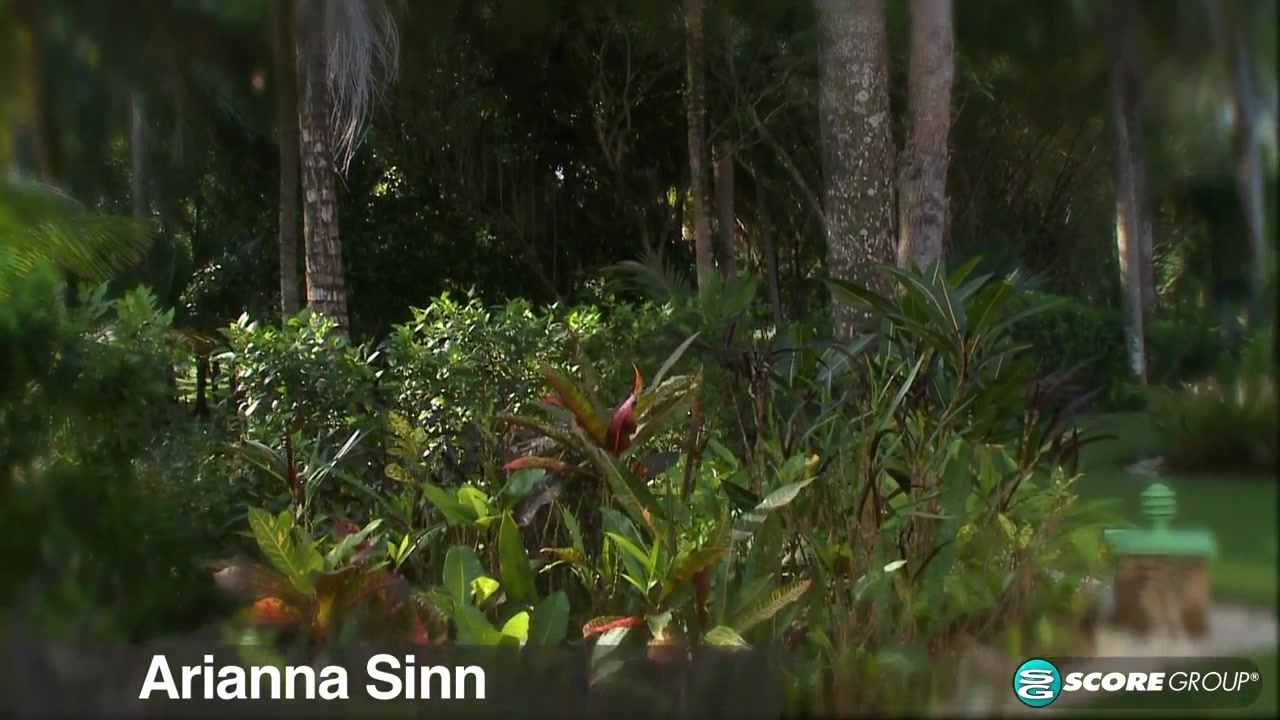 Life Is A Picnic For Arianna Sinn - ScoreLand