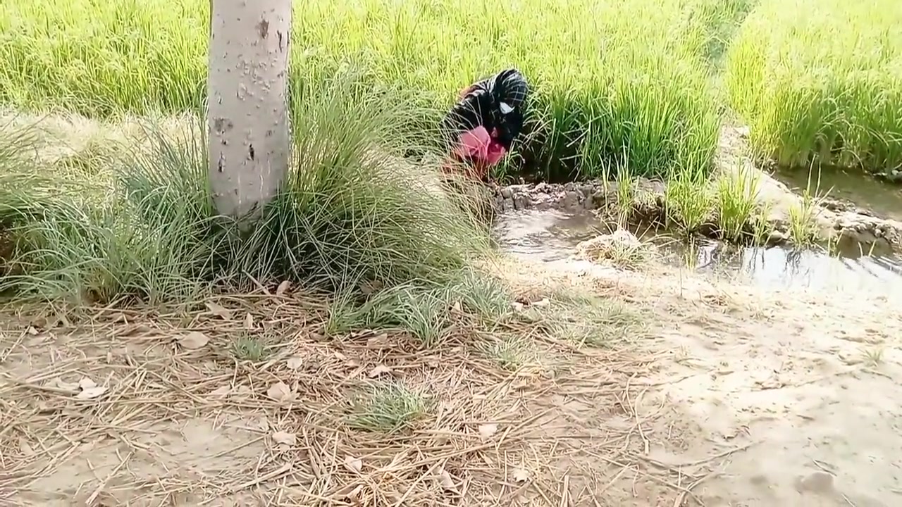 Muslim Randi Girl Road Pa Khari Ho Ker Logon Se Chodwa Rahi Thi Ne Bhi Chod Dala Aur Gand Phar Di