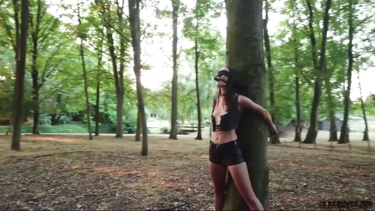 Sexy slave tied up to a tree and tortured