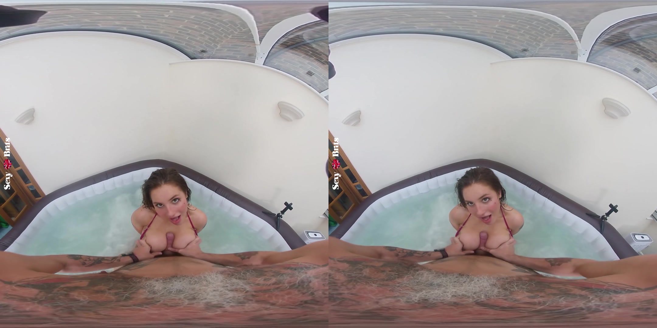 How to Bathe Your Aussie I - perVRt
