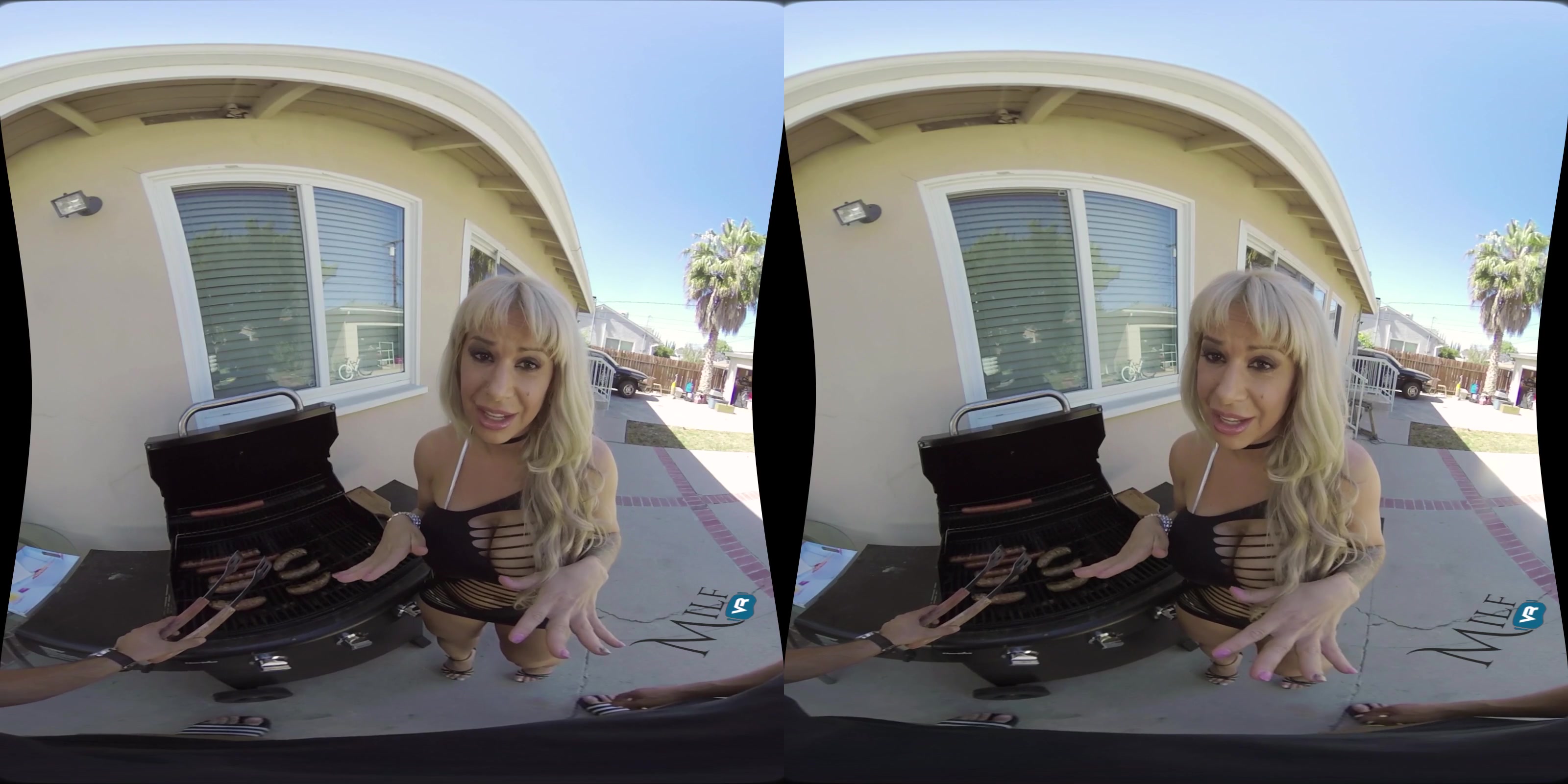 MilfVR - The BBQ