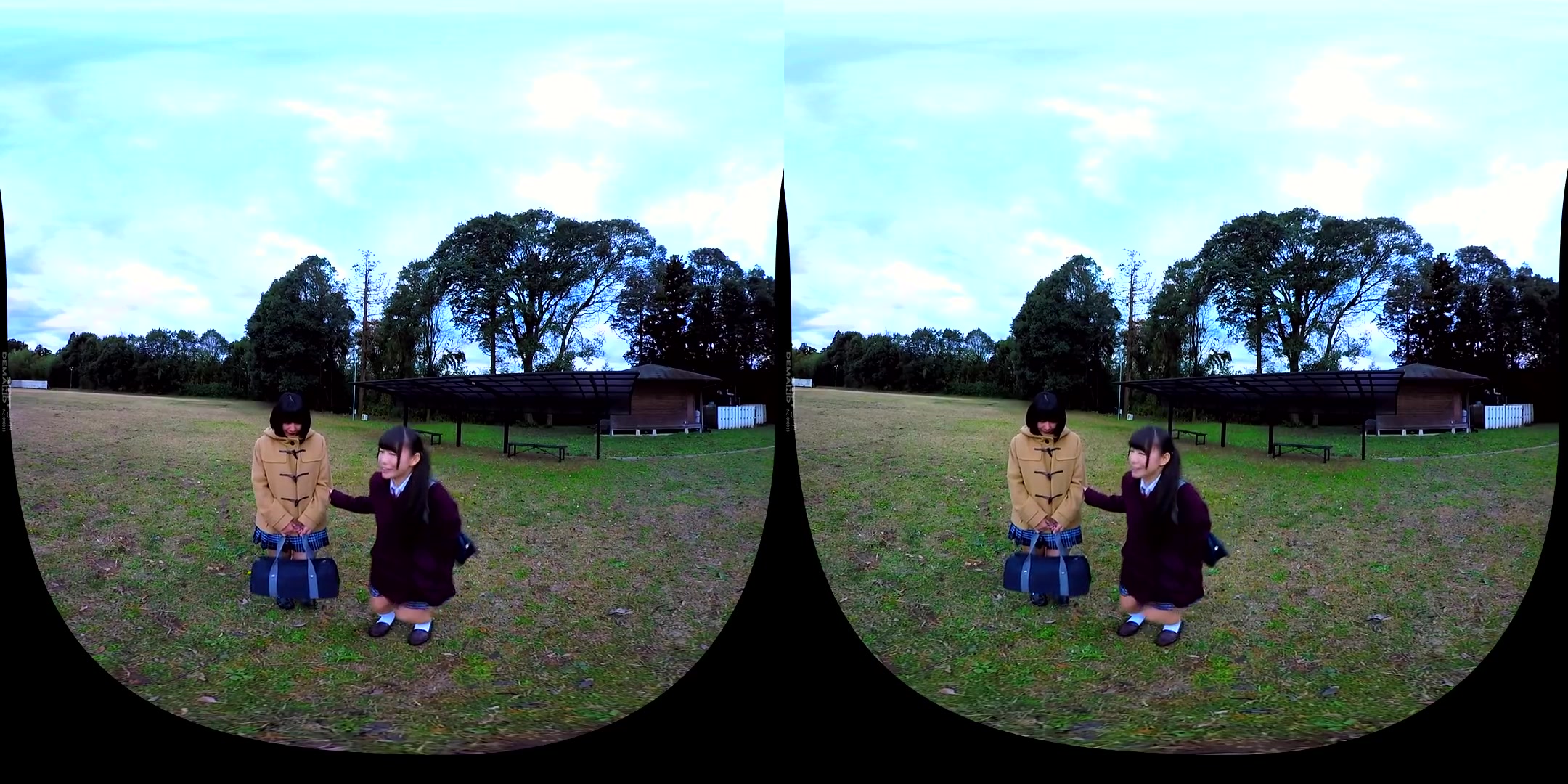 Valentine' Confession VR 2 - Softcore Non-Nude Compilation of Beautiful Japanese Girls Confessing Their Love For You
