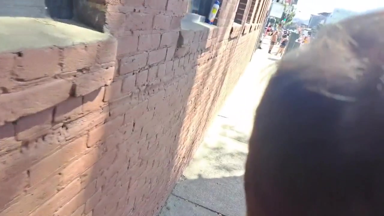 Stripping Naked In Public. Folsom St Fair