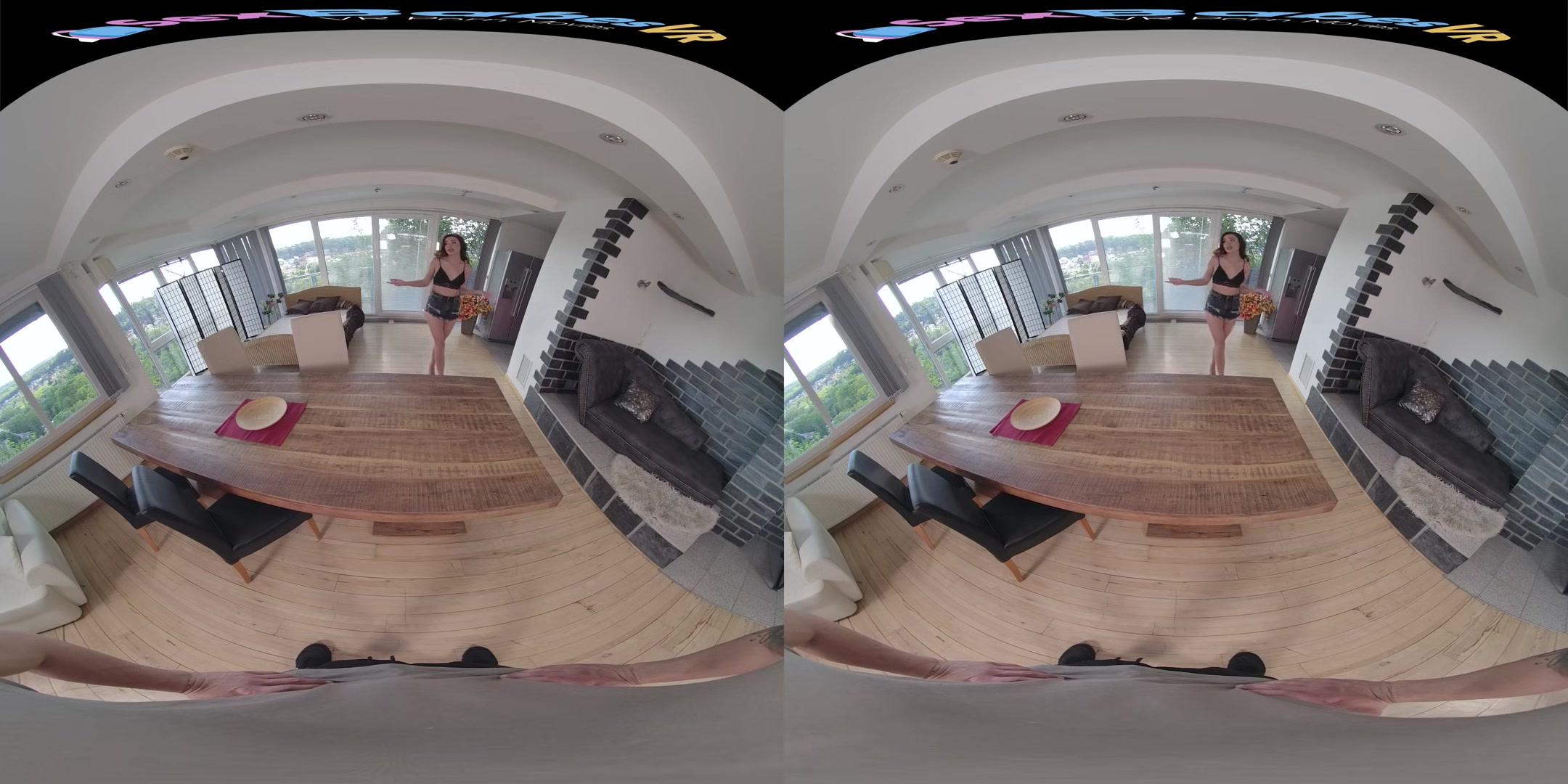 Cleaning Day - Sexbabesvr - Vr Porn Video