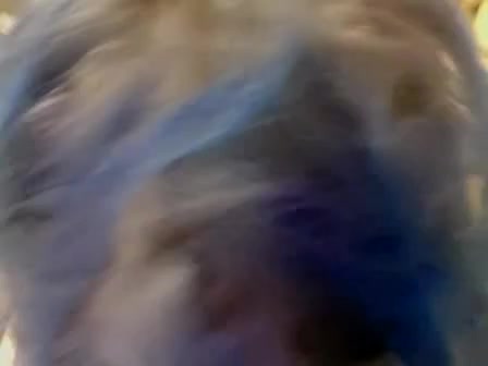 Chubby emo teen 18+ sucking cock happy