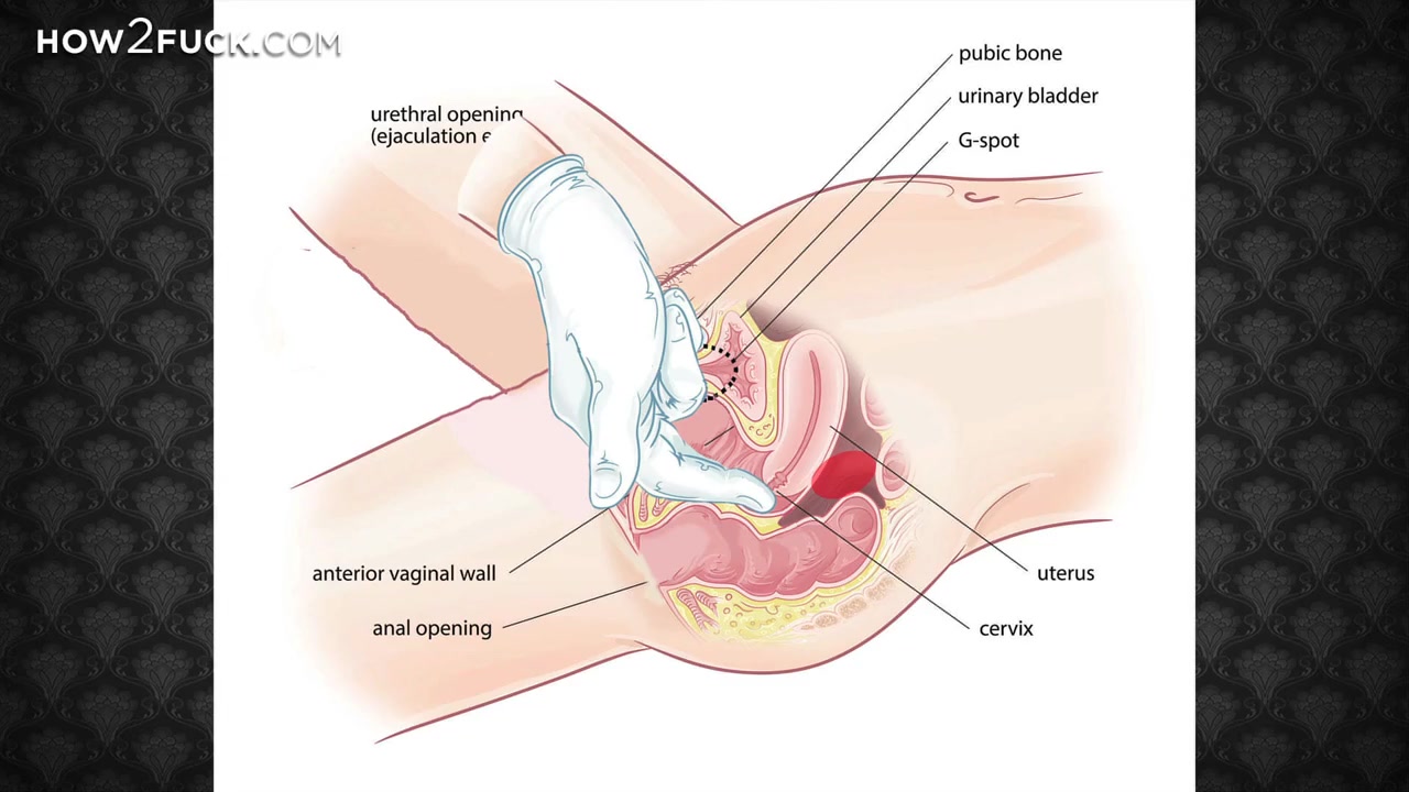 Anal stimulation massage