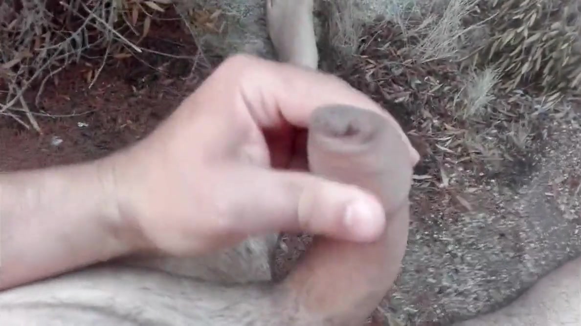 Uncut Cock & Big Cum