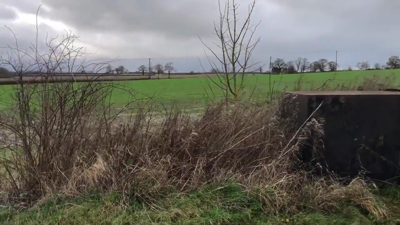 And Jerking In A Muddy Field