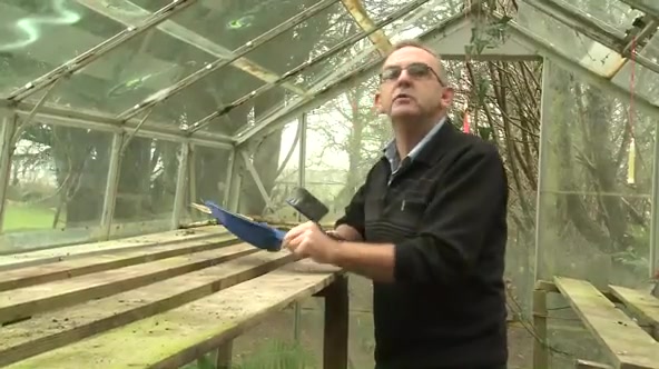 Greenhouse Games Mp4