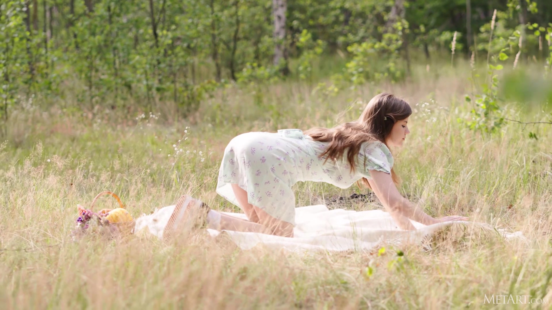 Picnic - Toree
