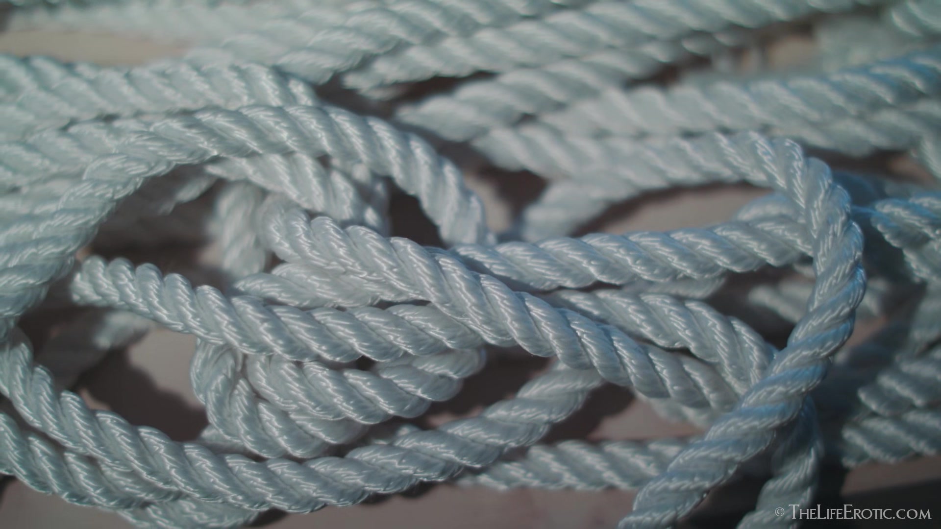 Shibari 2 - Elouisa - TheLifeErotic