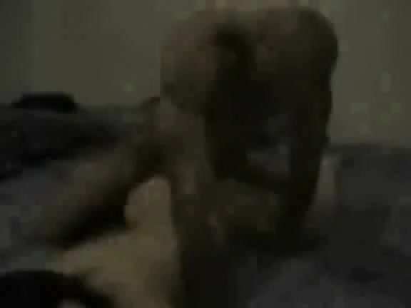 Asian chick being dominated by a black thick shlong