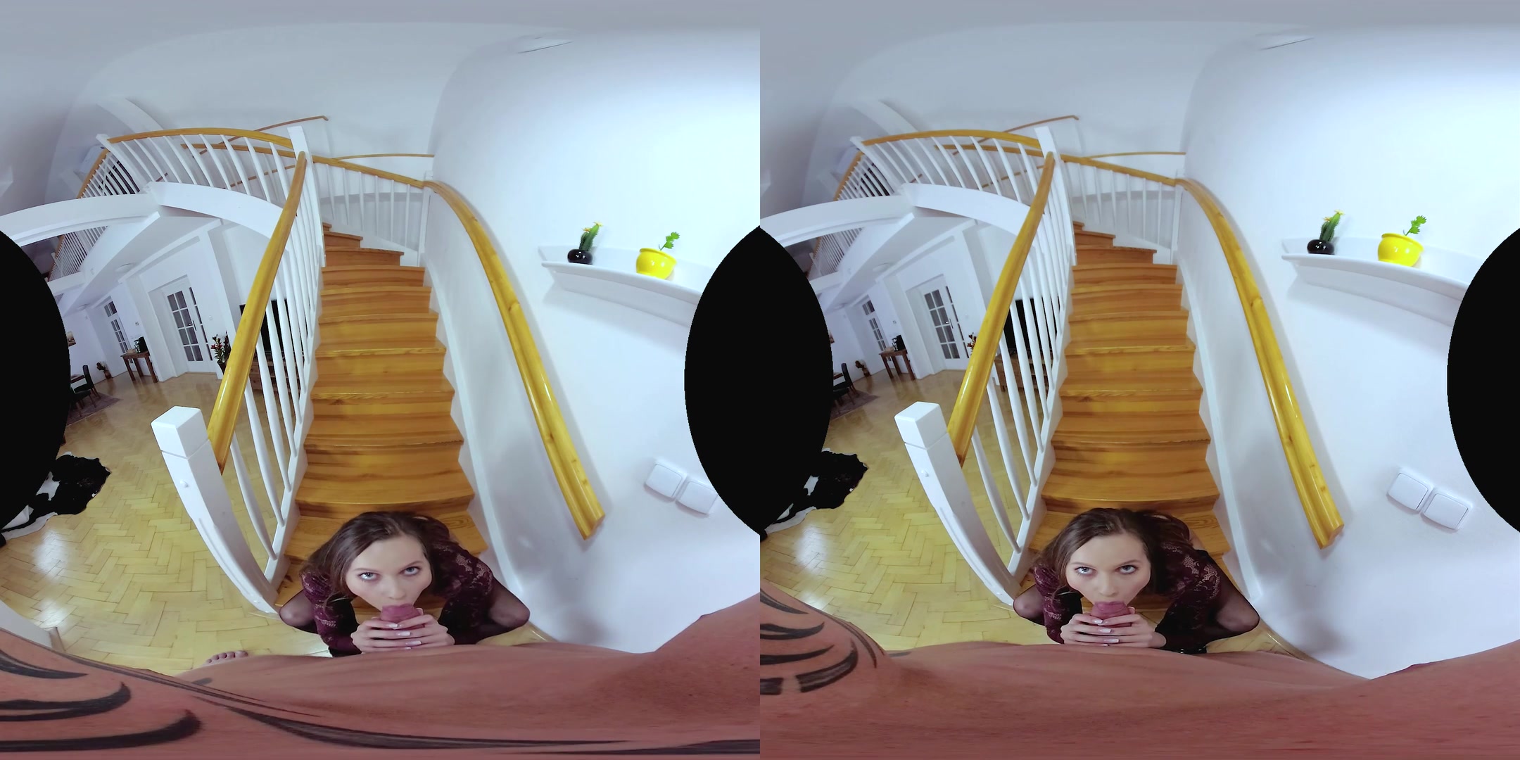 CzechVR 263 Professional Slut