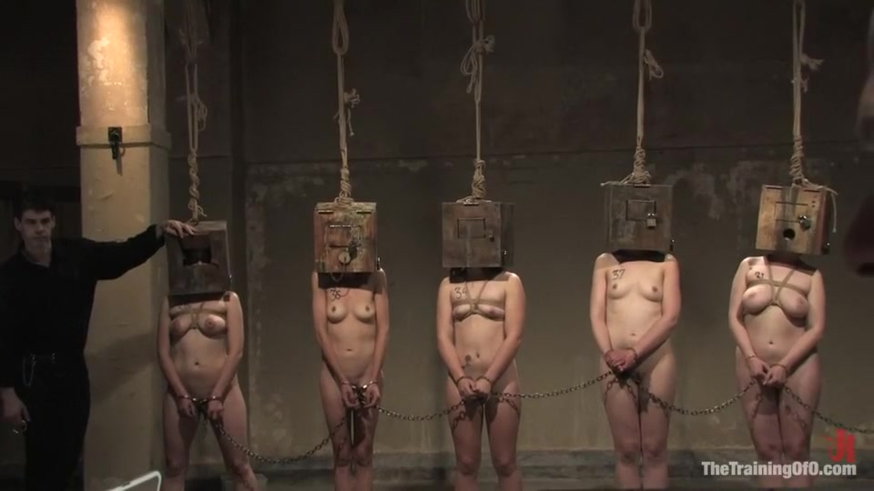The Auditons Three
