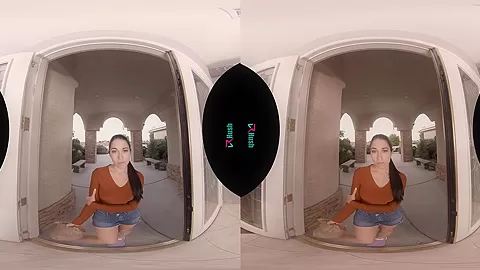 VRHUSH Fucking the food delivery driver Alex Coal