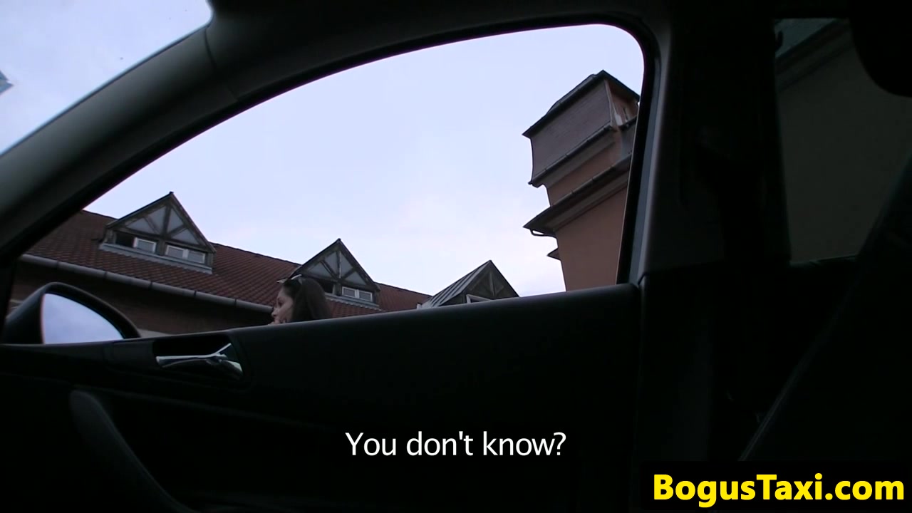 Amateur euro babe doggystyled by cabbie