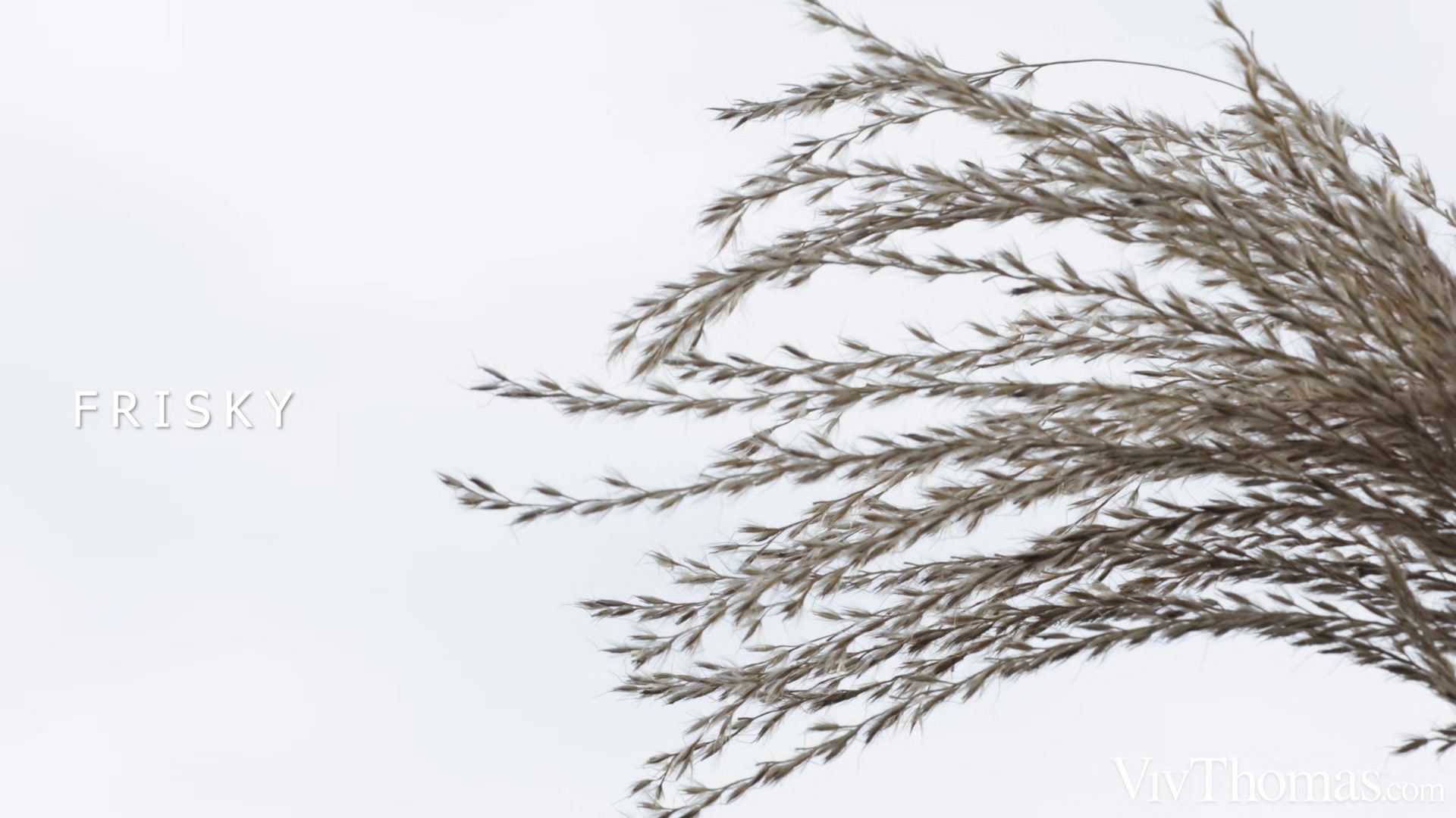 Frisky - Angelika Grays & Ann Joy