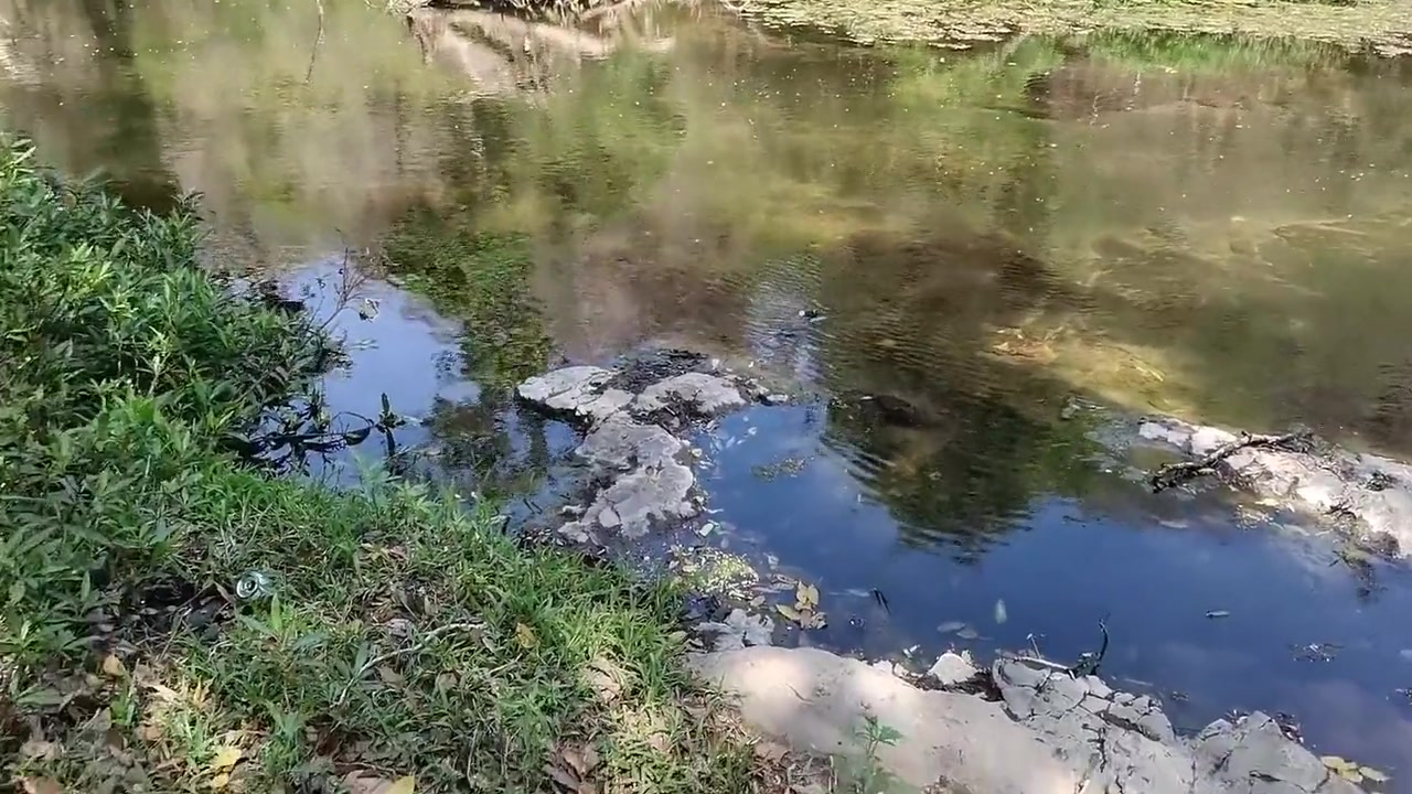 River Walk!! With My Stepsister And Ends In Sex!!! With Its Holes Open
