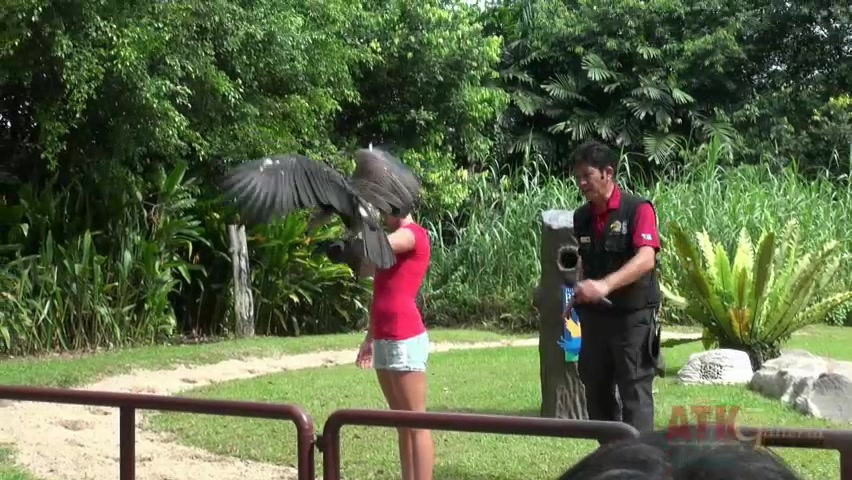 ATKGirlfriends video: virtual vacation with Hope Howell in Singapore